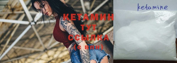 шишки Белокуриха
