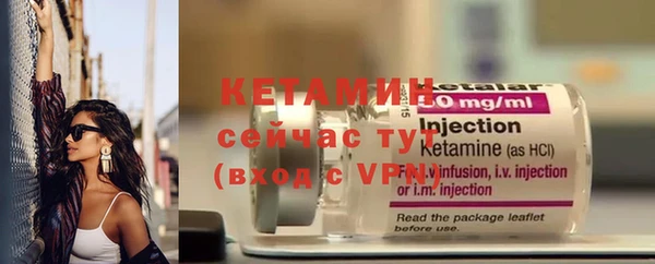 шишки Белокуриха