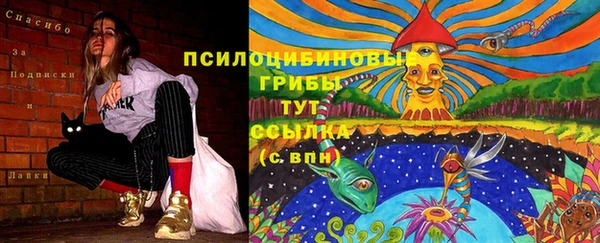 шишки Белокуриха