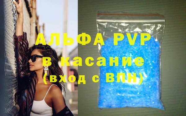 шишки Белокуриха