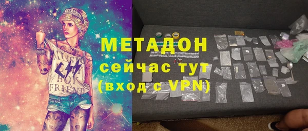шишки Белокуриха