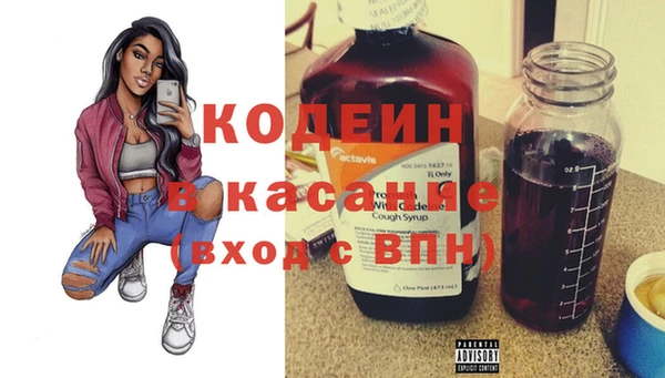 шишки Белокуриха