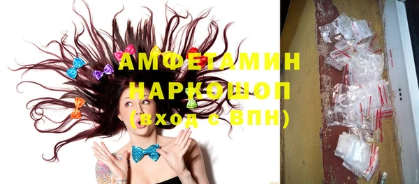 шишки Белокуриха