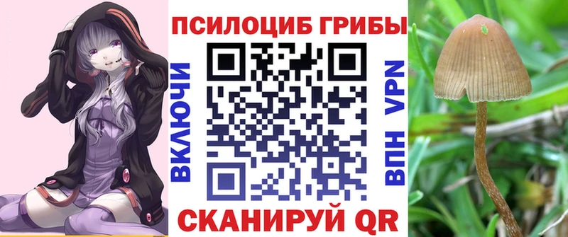 цены наркотик  Железногорск-Илимский  Псилоцибиновые грибы мухоморы 